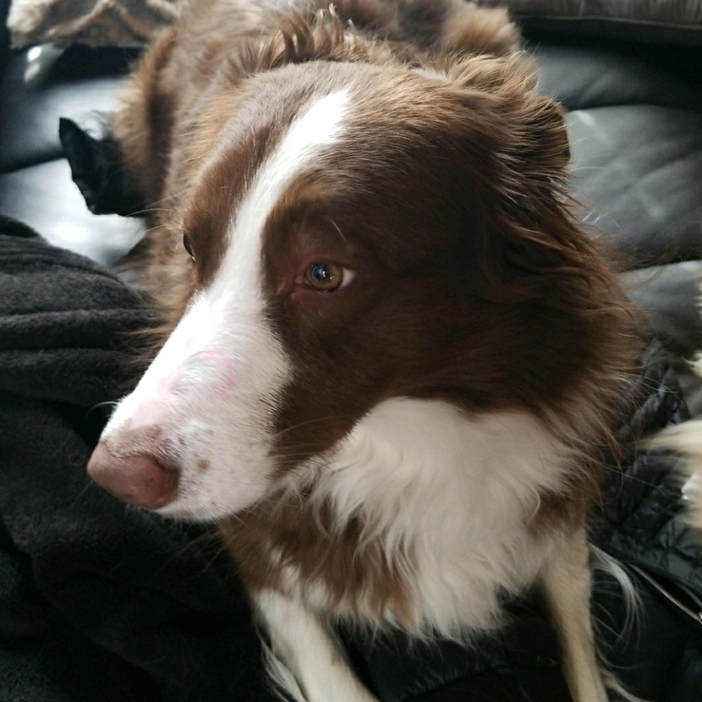 Meet your Posher, Clay